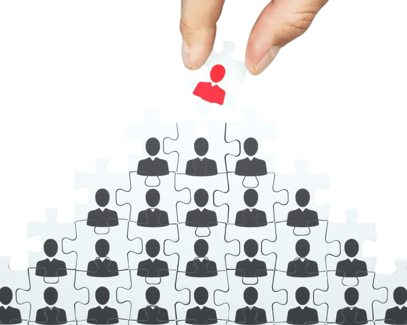 Optimisation des organisations