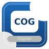 Logo Cognos BI